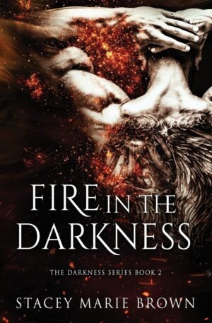 Fire in the Darkness (Darkness Series Book 2)