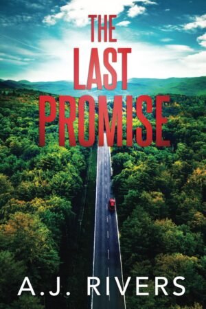 The Last Promise (Dean Steele Mystery Thriller)